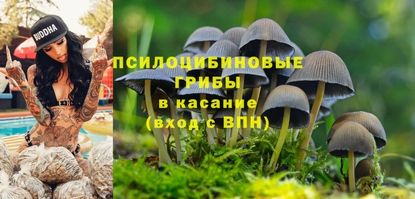 прущая мука Семилуки