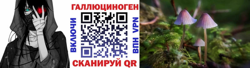 Псилоцибиновые грибы мицелий  Шахунья 